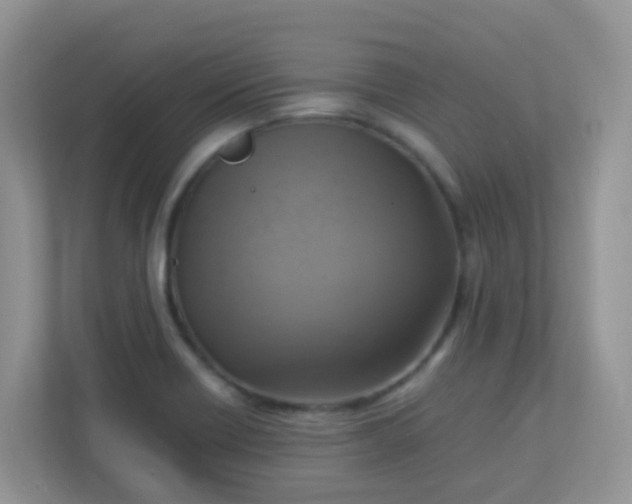 X0000113291418200909281003