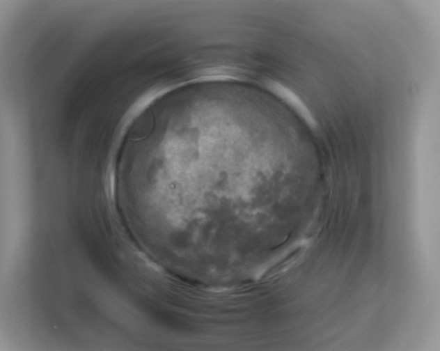 X0000113291419200909281003