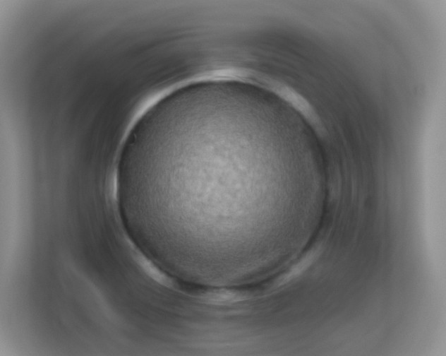 X0000113291420200909281003