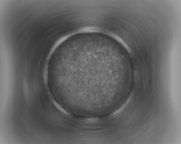 X0000113291421200909281003