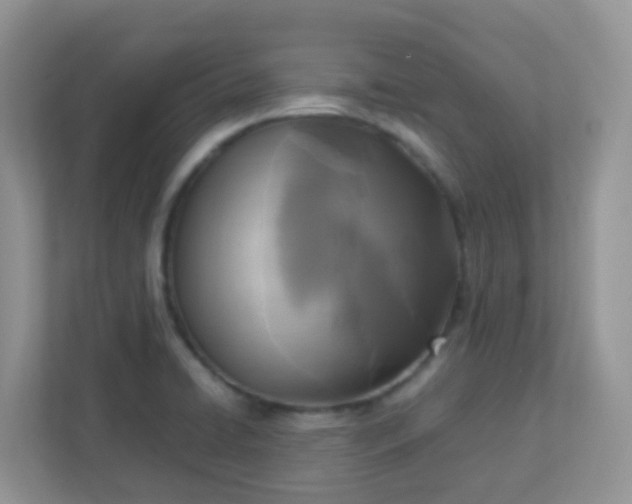 X0000113291422200909281003