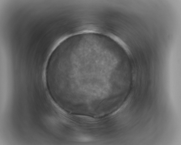 X0000113291423200909281003