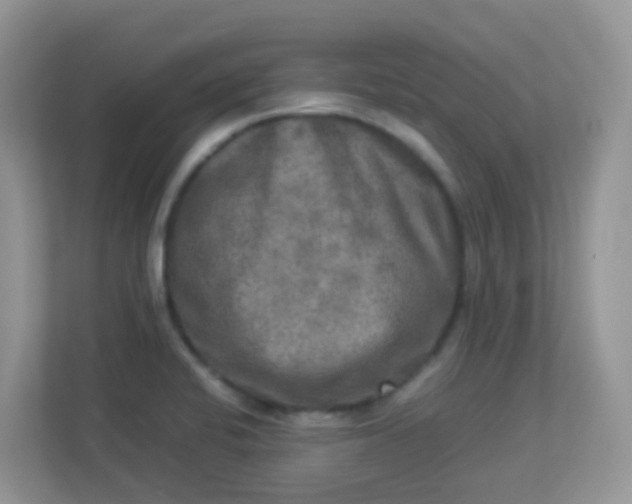 X0000113291424200909281003