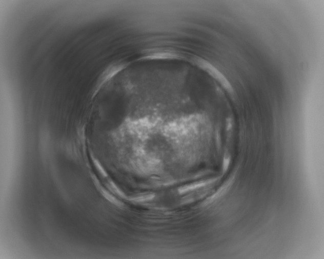 X0000113291425200909281003