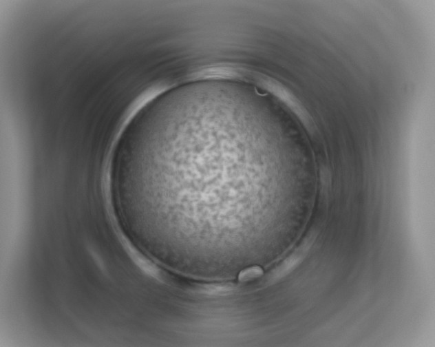 X0000113291426200909281003