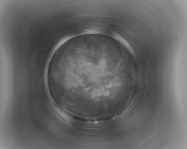 X0000113291427200909281003