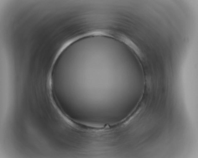 X0000113291428200909281003