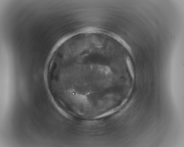 X0000113291429200909281003