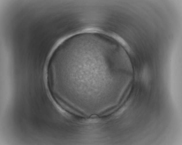 X0000113291430200909281003