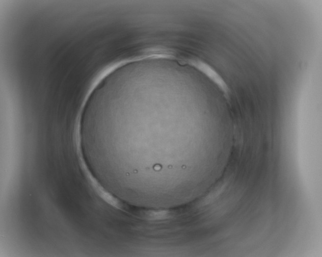 X0000113291431200909281003