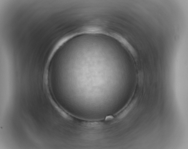 X0000113291432200909281003