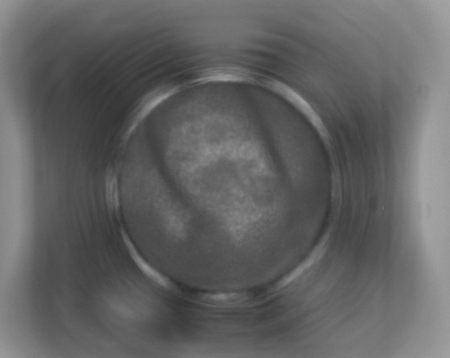 X0000113291433200909281003