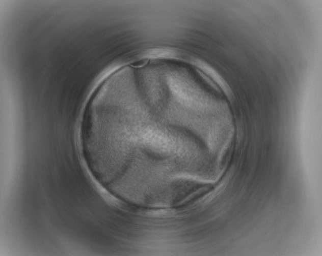 X0000113291434200909281003