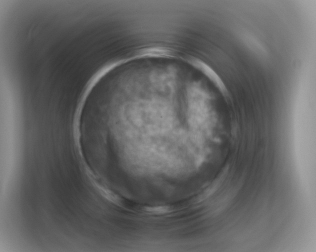 X0000113291435200909281003