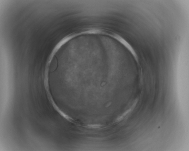 X0000113291437200909281003