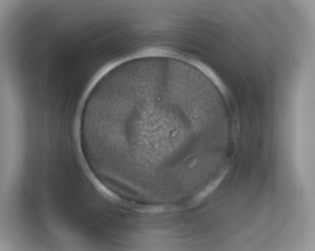 X0000113291438200909281003