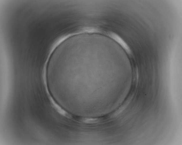 X0000113291439200909281003