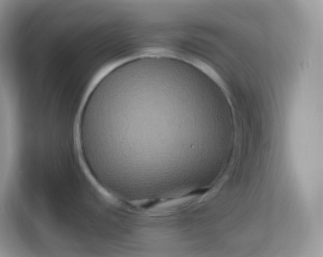 X0000113291440200909281003