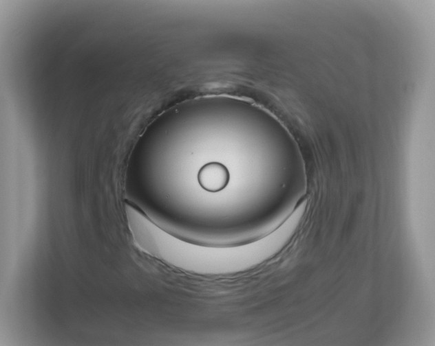 X0000113291441200909281002