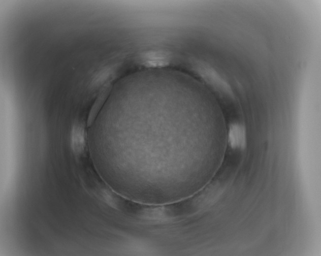 X0000113291444200909281002