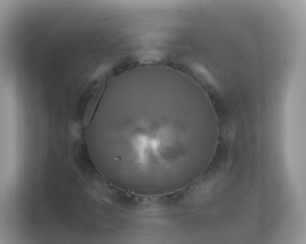 X0000113291445200909281002