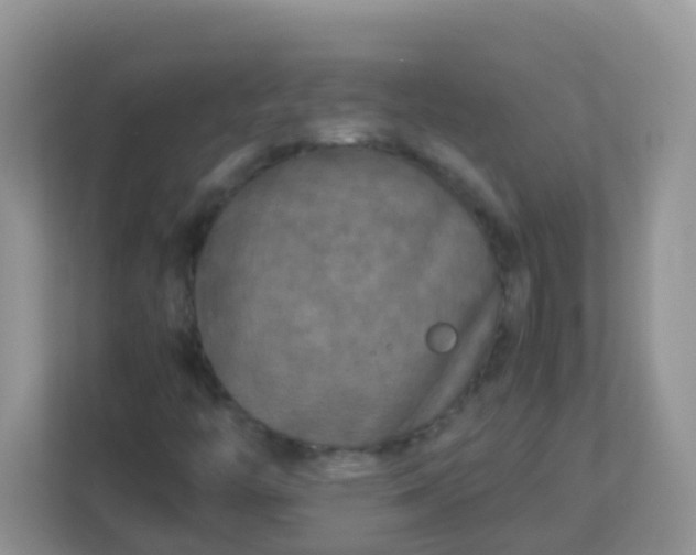 X0000113291446200909281002