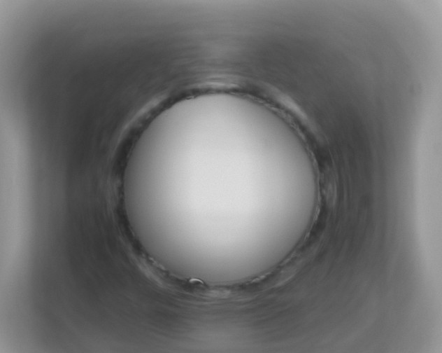 X0000113291448200909281002