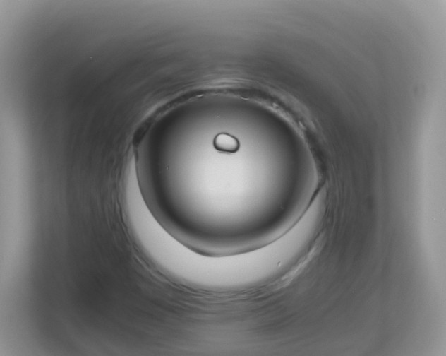 X0000113291449200909281002