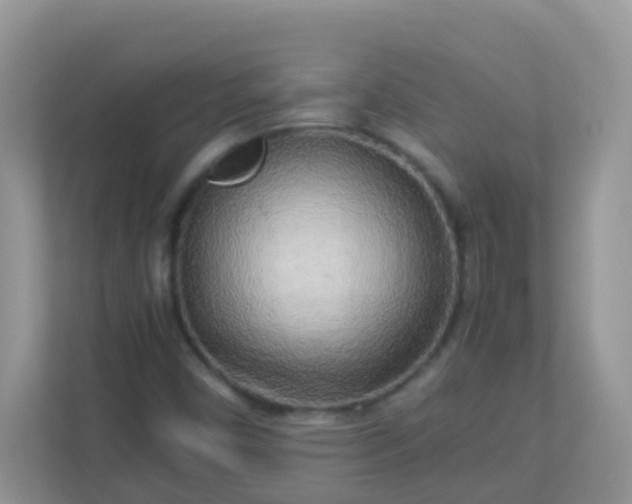 X0000113291450200909281002