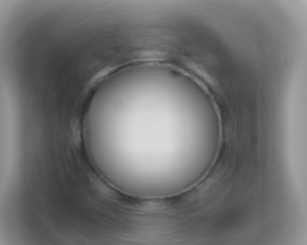 X0000113291451200909281002