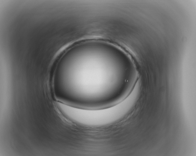 X0000113291452200909281002