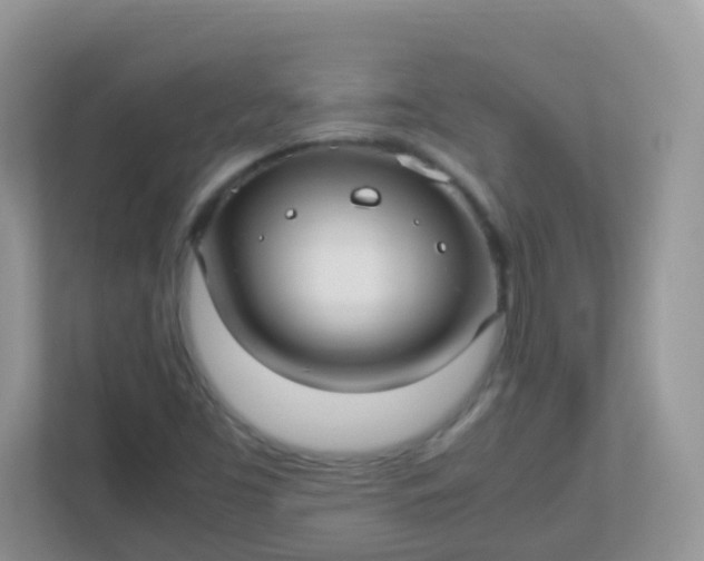 X0000113291453200909281002