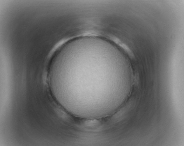 X0000113291454200909281002