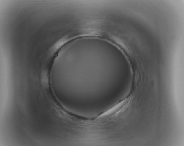 X0000113291455200909281002