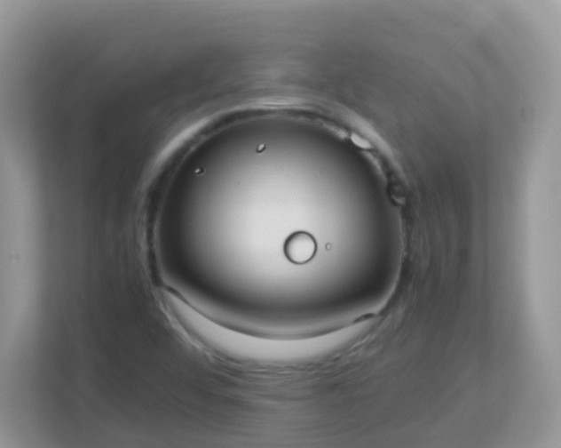 X0000113291456200909281002