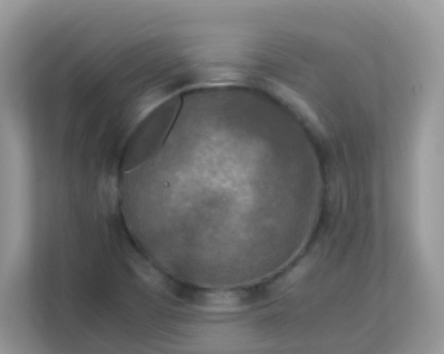 X0000113291457200909281002