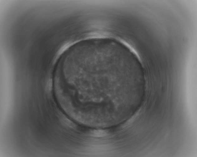 X0000113291459200909281002