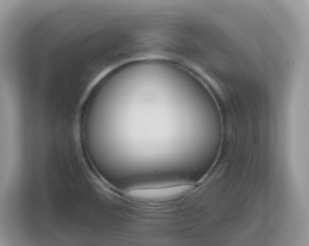 X0000113291460200909281002