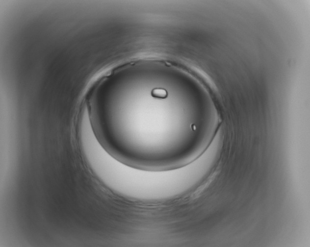 X0000113291461200909281002