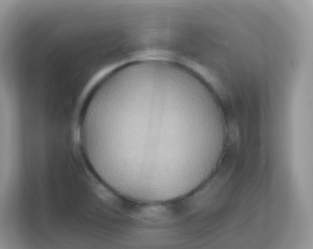 X0000113291462200909281002