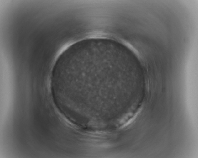 X0000113291463200909281002