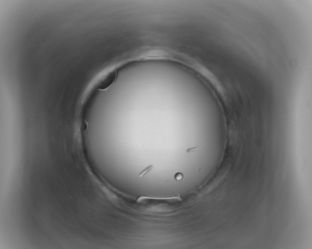 X0000113291464200909281002