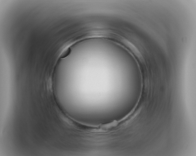 X0000113291465200909281002