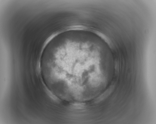 X0000113291466200909281002