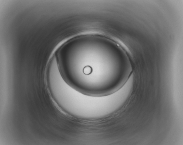 X0000113291468200909281002