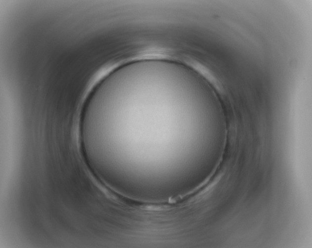 X0000113291469200909281002