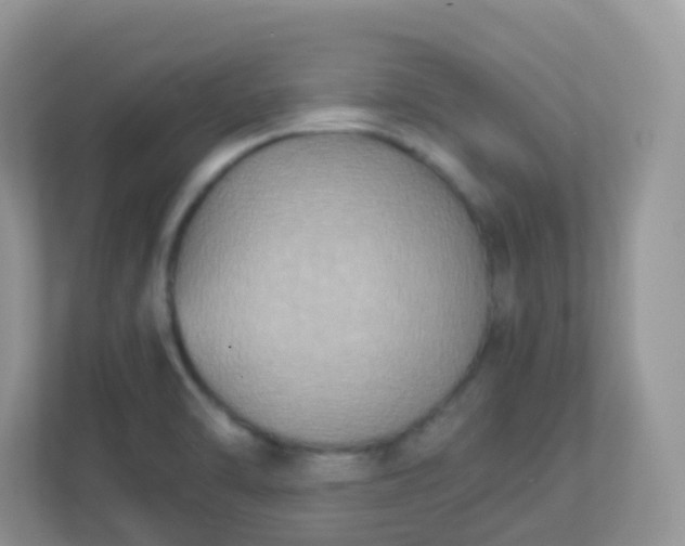 X0000113291470200909281002