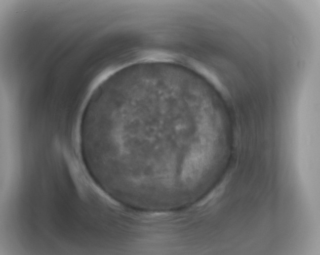 X0000113291471200909281002