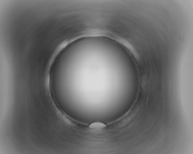 X0000113291472200909281002