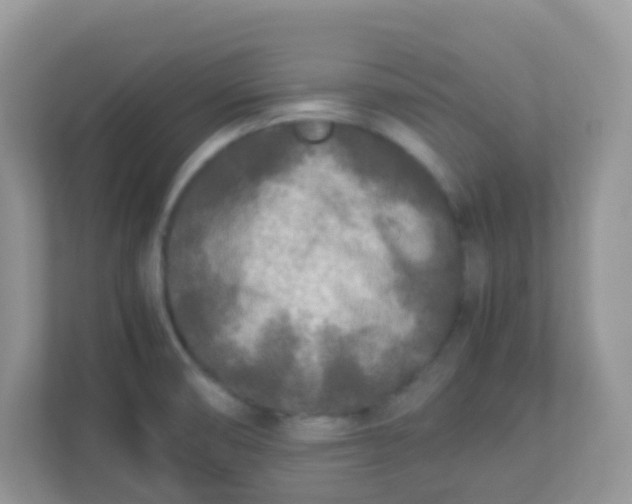 X0000113291474200909281002